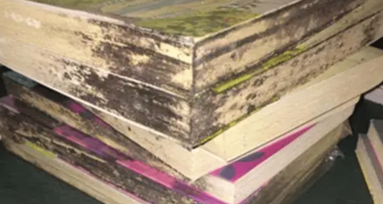 How to Prevent Books from Molding?