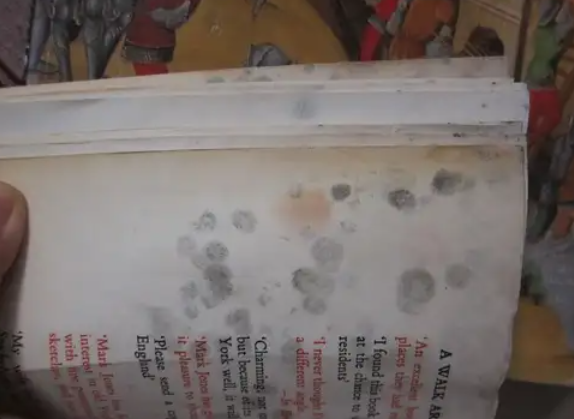 Why do books mold? how to get rid of book mold?